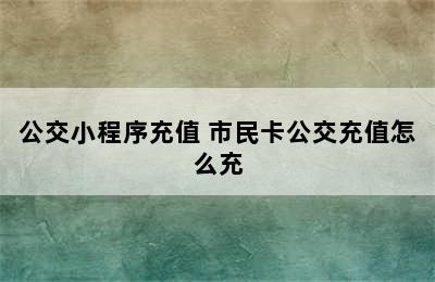 公交小程序充值 市民卡公交充值怎么充